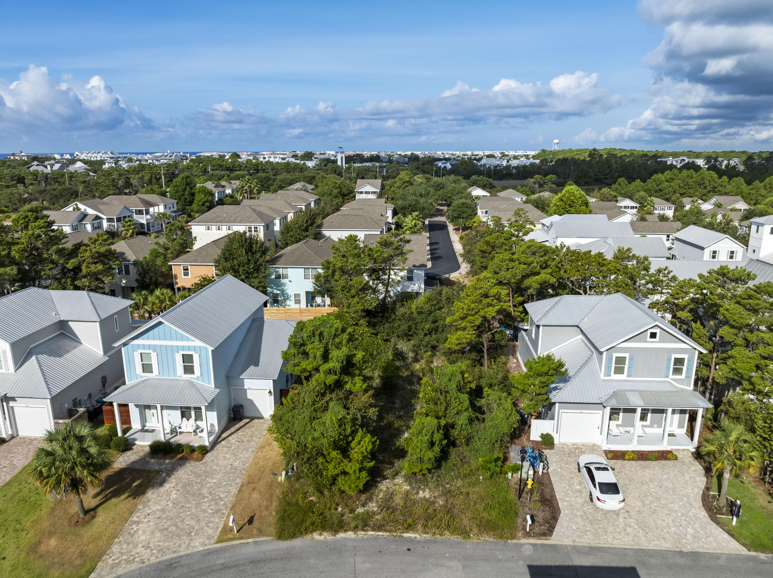 THE PRESERVE AT INLET BEACH - Land