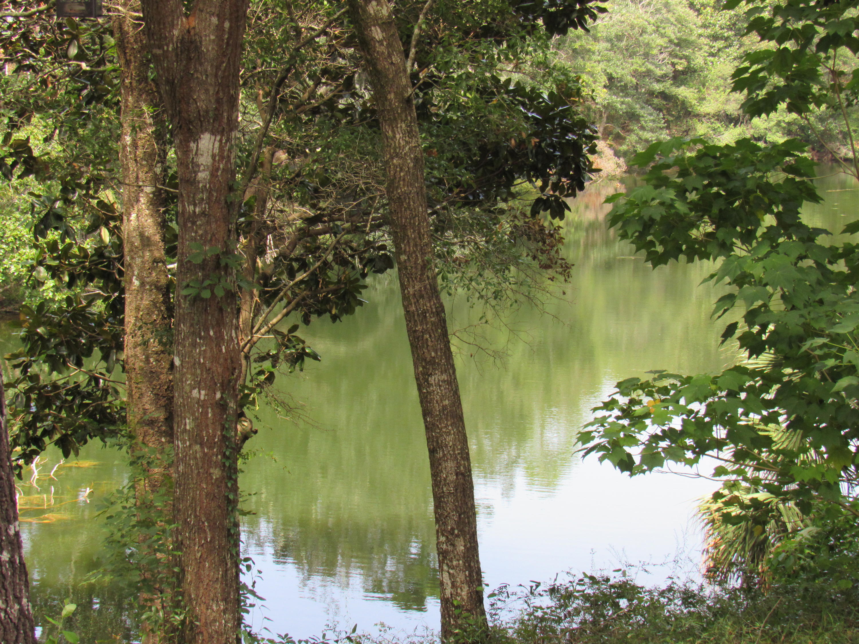 ROCKY BAYOU COUNTRY CLUB ESTATES 1 - Residential