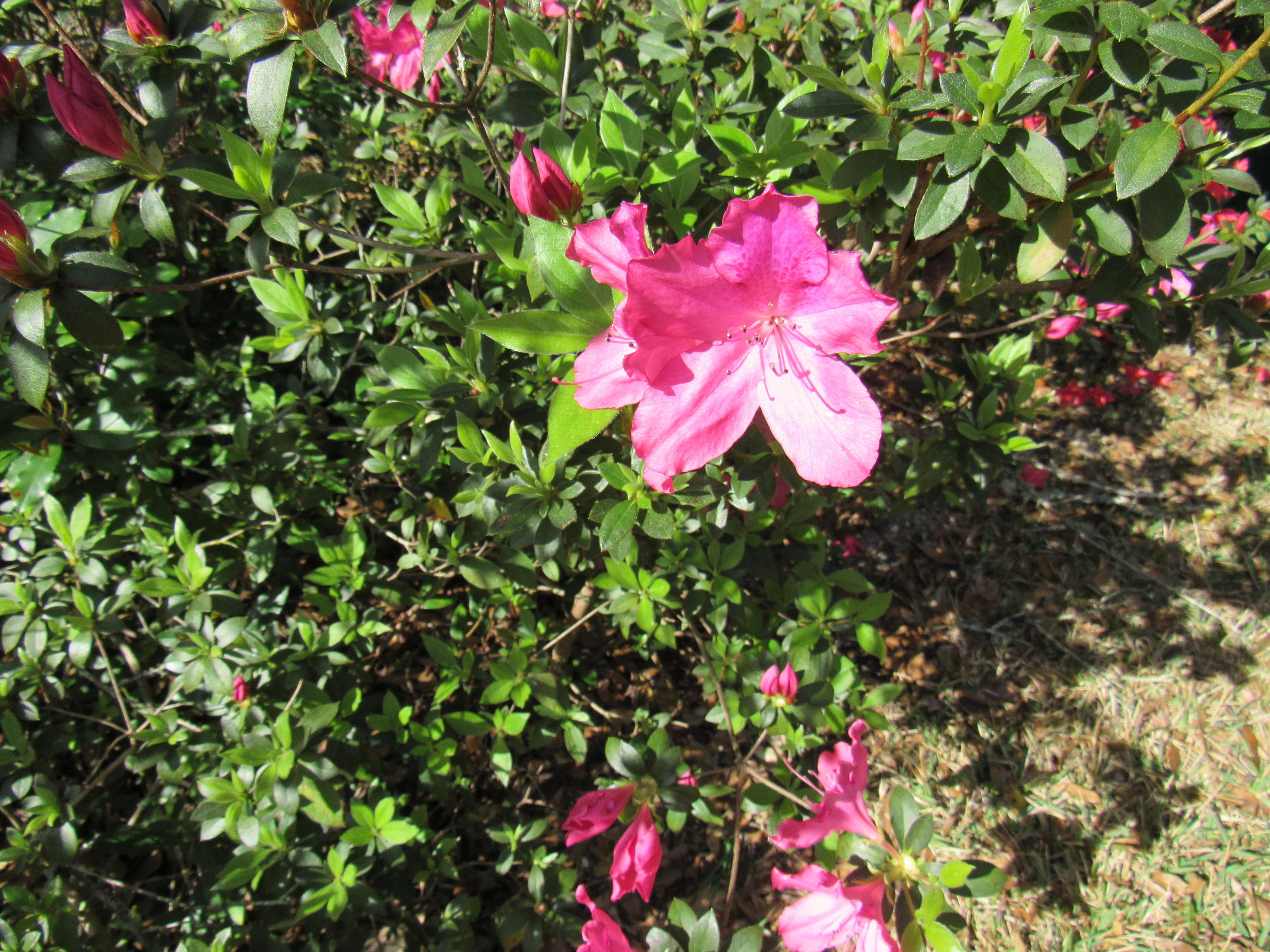 ROCKY BAYOU COUNTRY CLUB ESTATES 1 - Residential