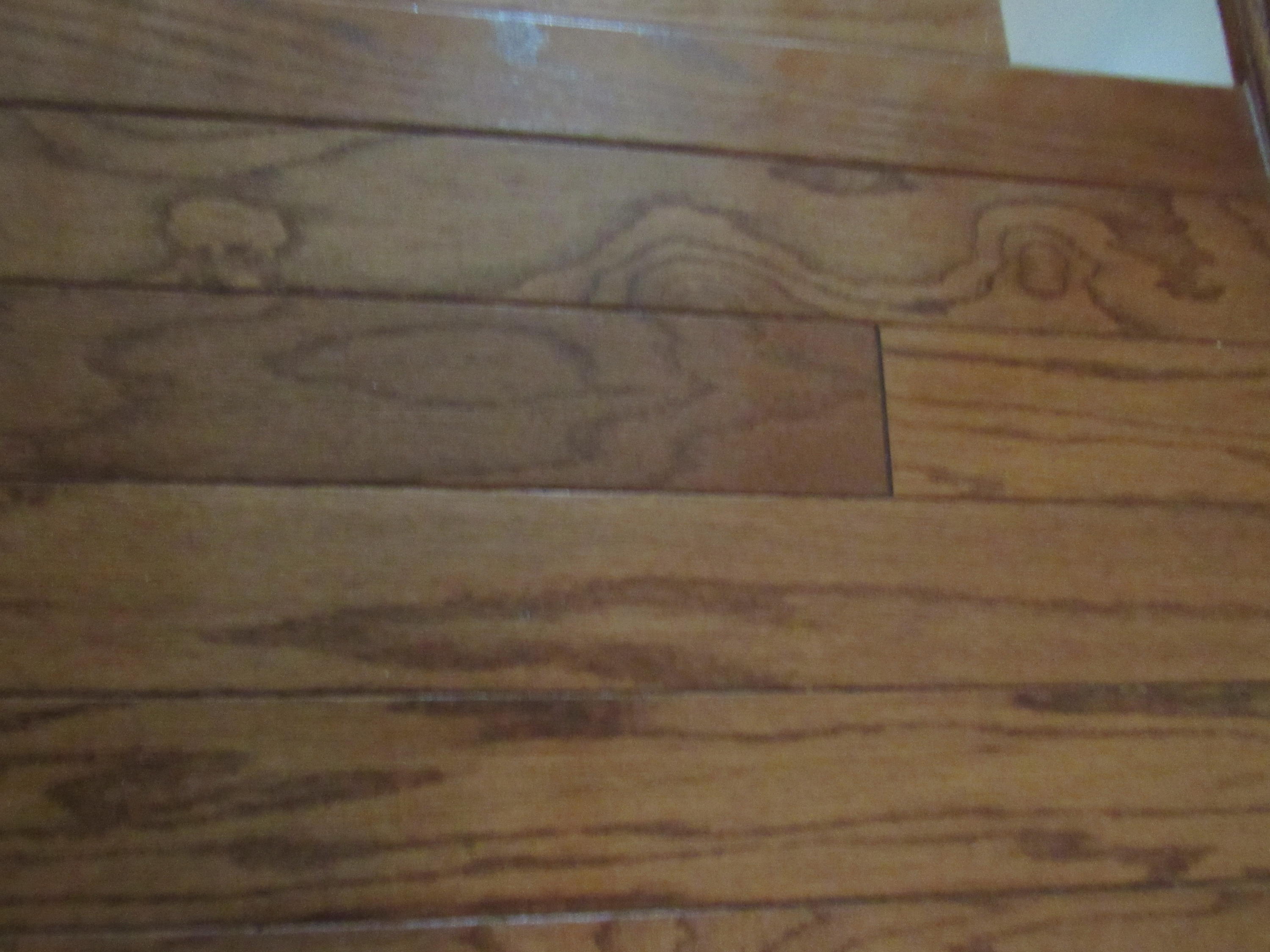 ROCKY BAYOU COUNTRY CLUB ESTATES 1 - Residential