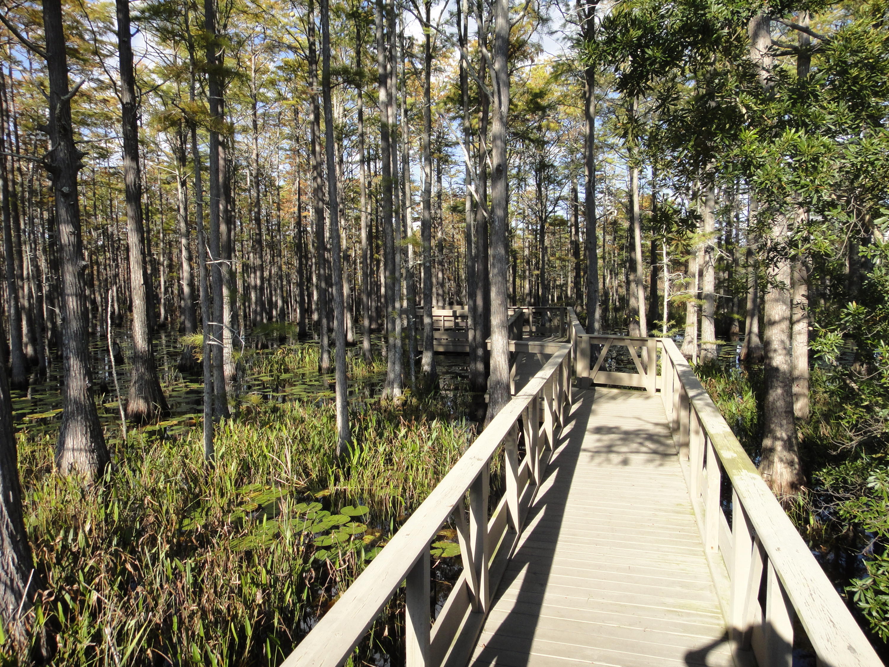 CYPRESS DUNES - Land
