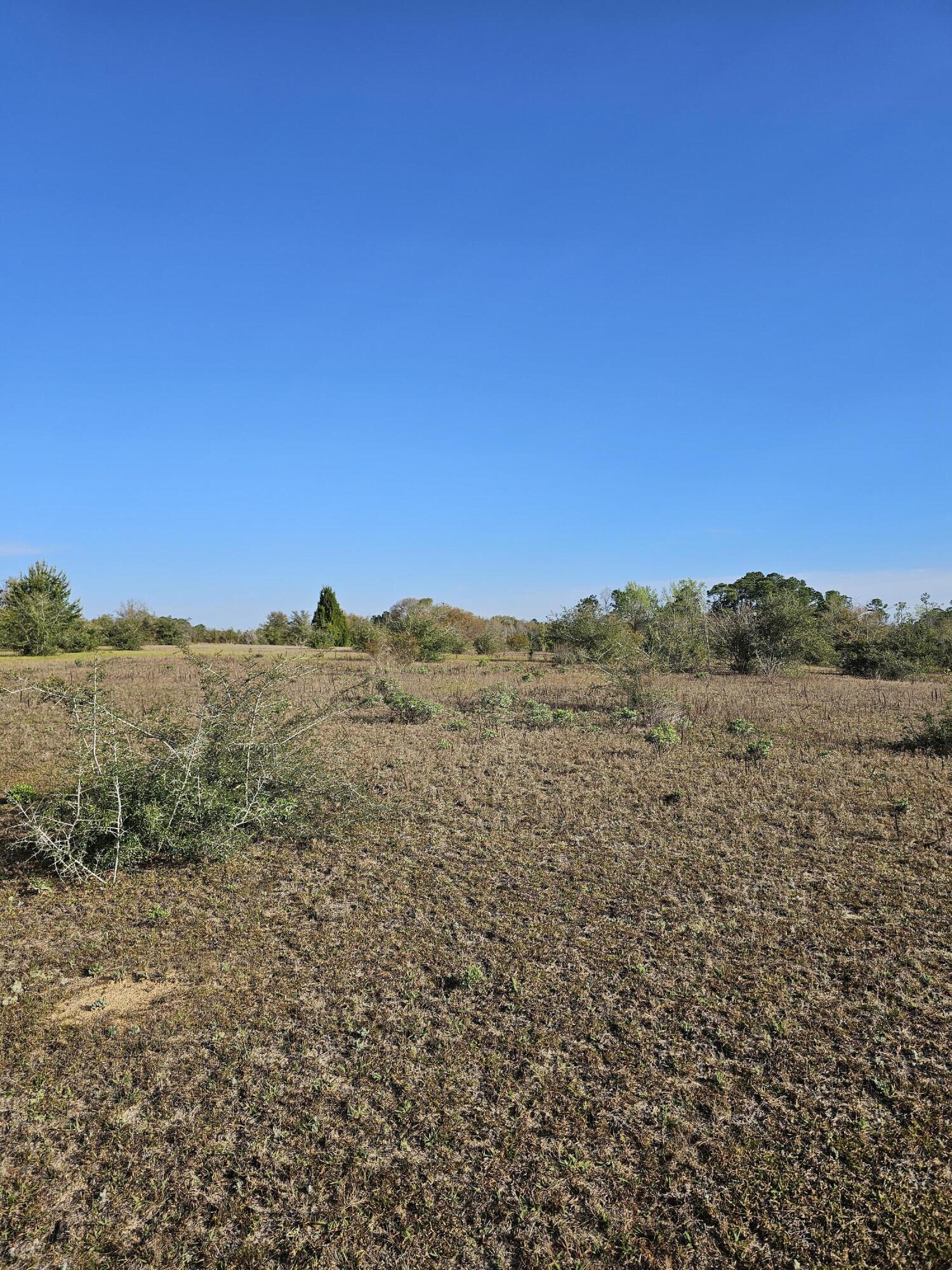This 16.25 acres is 10 miles to Hwy 20 and 20 miles to Hwy 98. Perfect for a farm, barn or homesite. Property is bordered by a small creek and farm land. Please call for more information. 79 acres will be split to allow for this 17 acres to be sold.
