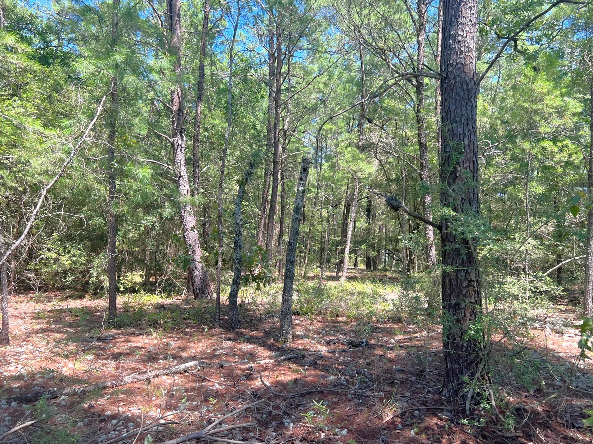 LOT 1 BLK 101 OAKWOOD HILLS UNIT III - Land