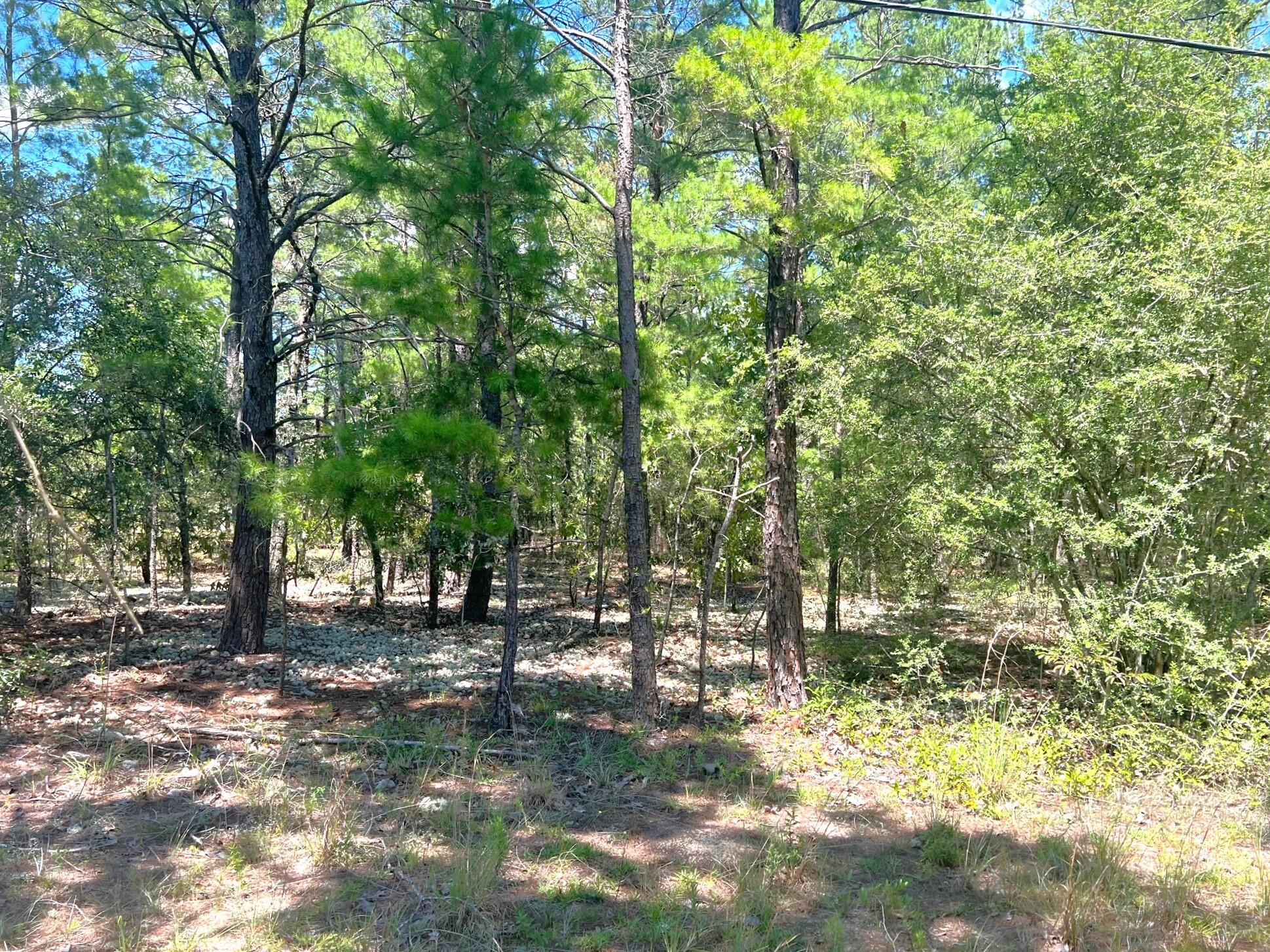 LOT 1 BLK 101 OAKWOOD HILLS UNIT III - Land