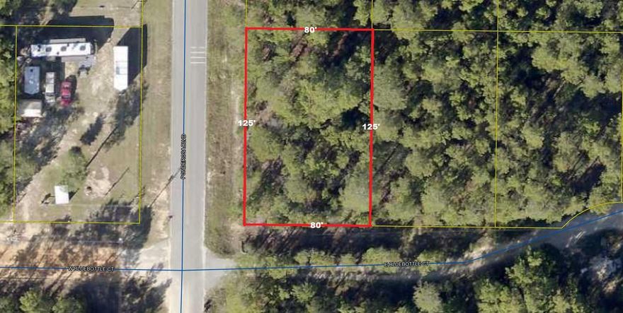Prime, lightly wooded, 1/4 acre corner lot on paved road in growing Mossy Head area of Defuniak Springs. Located within 10 minutes to either Blackstone Golf Course or Eagle Springs Golf Course; Within 10 minutes to downtown Defuniak Springs and I-10 in Mossy Head for a quick commute to Crestview, Niceville, Eglin AFB and Ft. Walton Beach. No utilities currently on the property but power on street. Public water is available through Mossy Head Water Works with paid tap fee. Septic would be required.