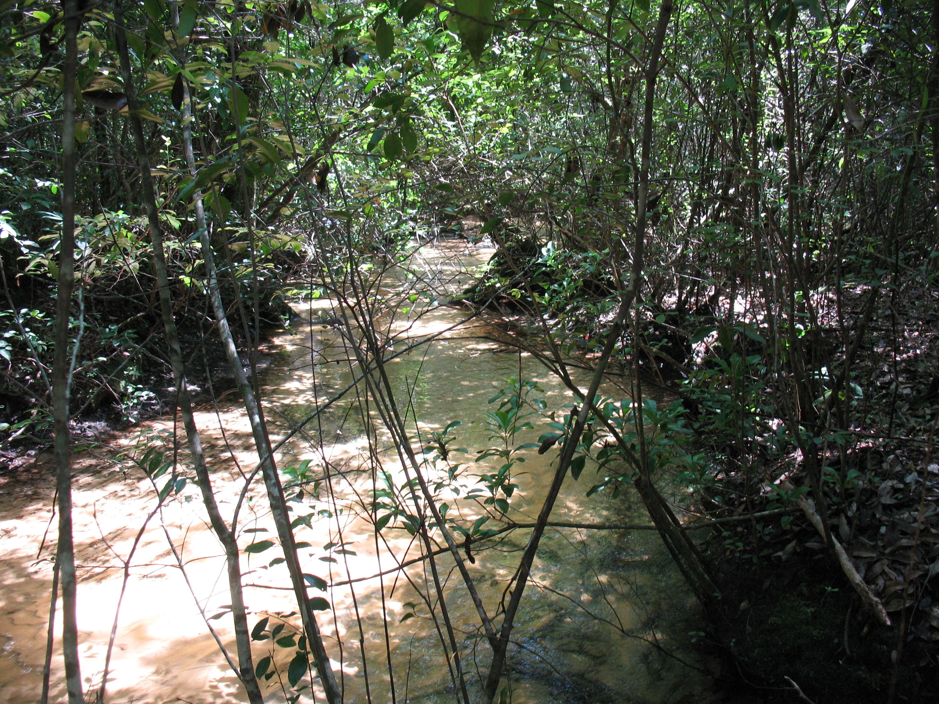 METES & BOUNDS - Land