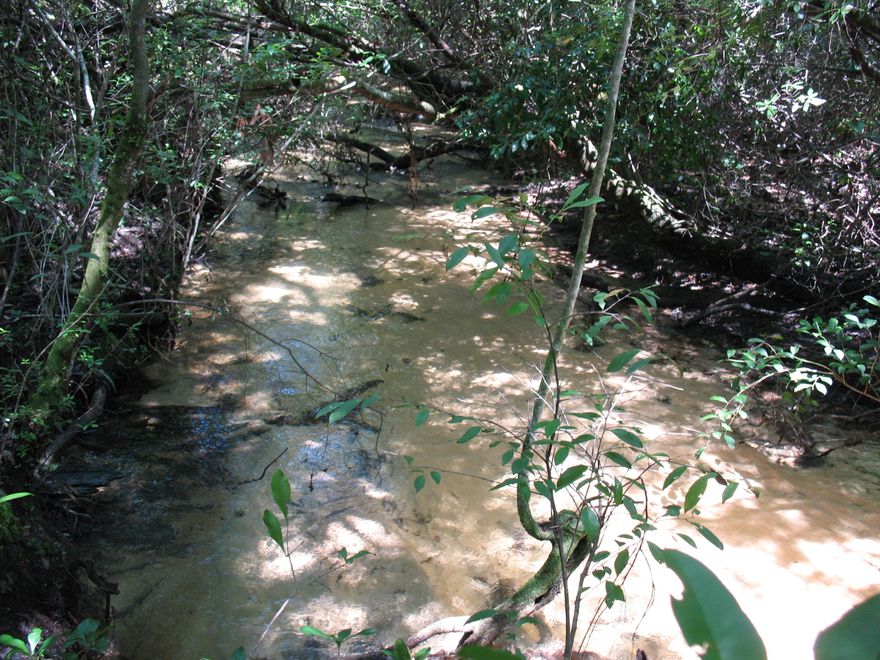 If you are looking for privacy and seclusion...then you will love this beautiful wooded 9.35 acres with Mossy Branch running across the back property line, Seller says appx. 700'+ a freely running branch/creek frontage, spring fed as you can see from the pictures with a sandy white bottom. Survey is attached. White PVC pipes mark the corners. Super price!