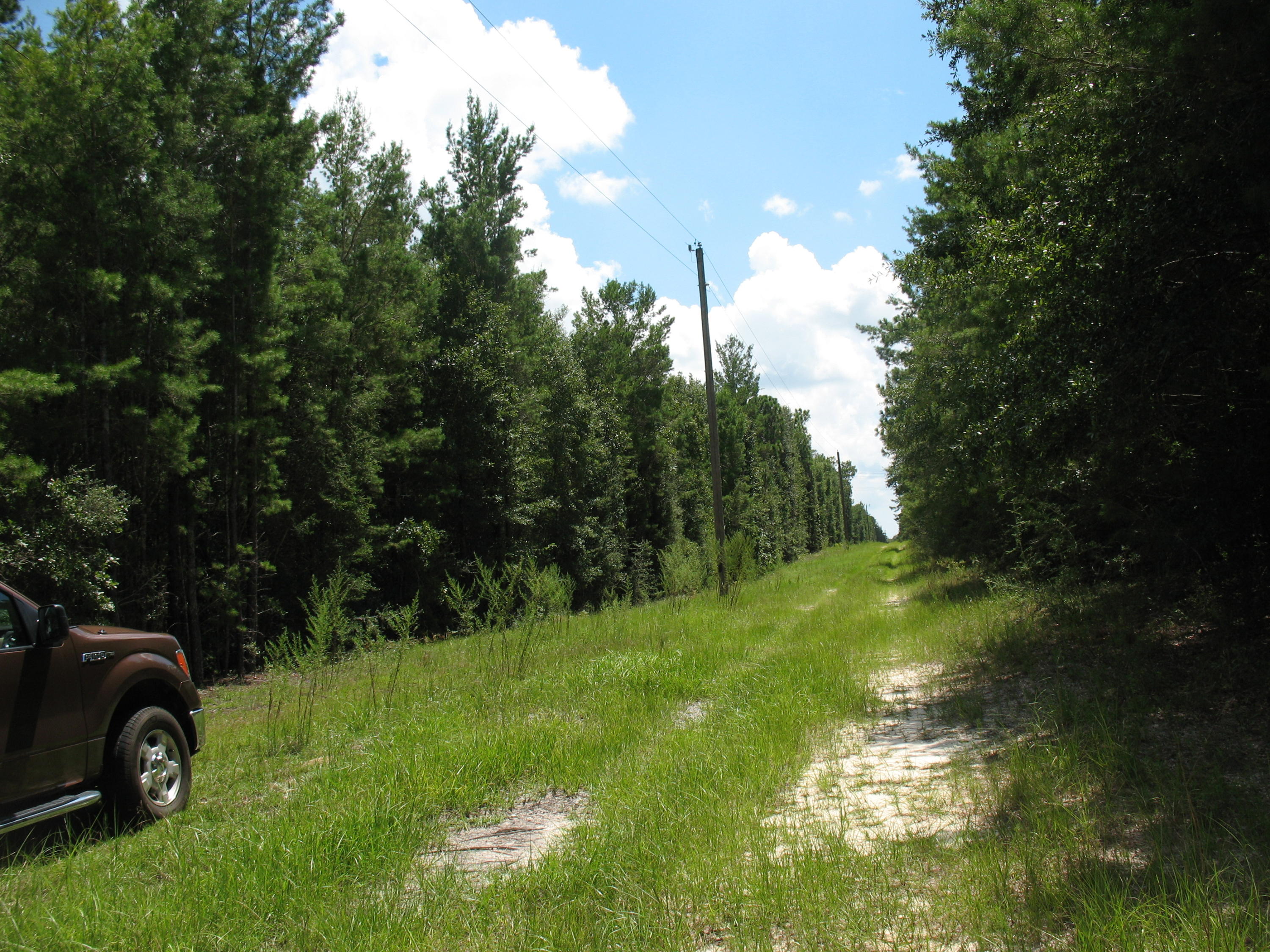 METES & BOUNDS - Land