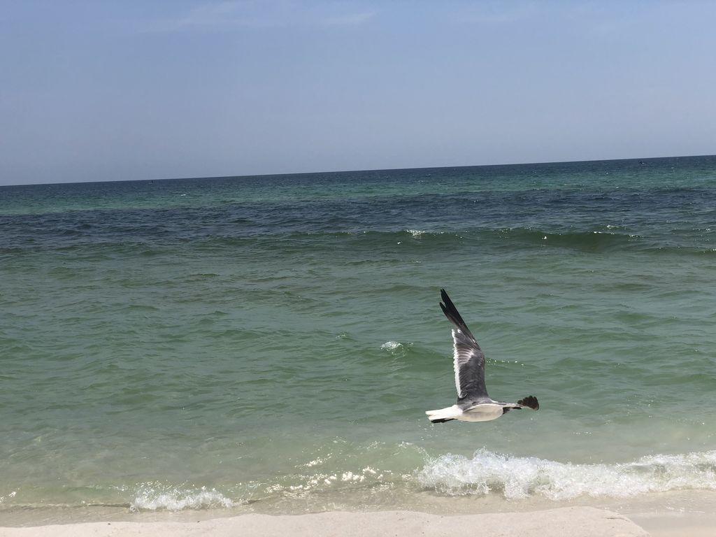 SUMMERWIND WEST - Residential