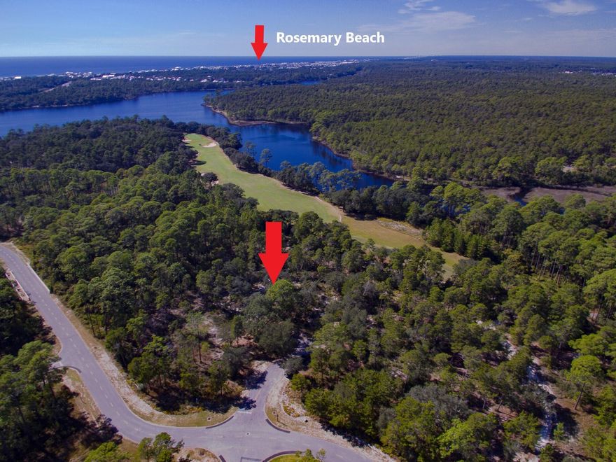Incredible opportunity to build your custom dream home, on this large oak tree covered lot, on the 13th fairway of the pristine Sharks Tooth Golf Course.  This property allows for quick access to all 30A has to offer while being behind guarded gates in an unbelievable serene setting.  Wild Heron offers an amazing community pool with direct view of Lake Powell, the largest coastal dune lake in Florida & North America, covering almost 800 acres.   Amenities also include a boat house stocked with canoes and kayaks for residence, allowing you to canoe/kayak directly to the beach across Lake Powell.  Additional amenities include a large firepit, fitness center, large pavilion w/ bbq grill and miles of walking trails.  Enjoy the beach lifestyle while not sacrificing land and serenity!!