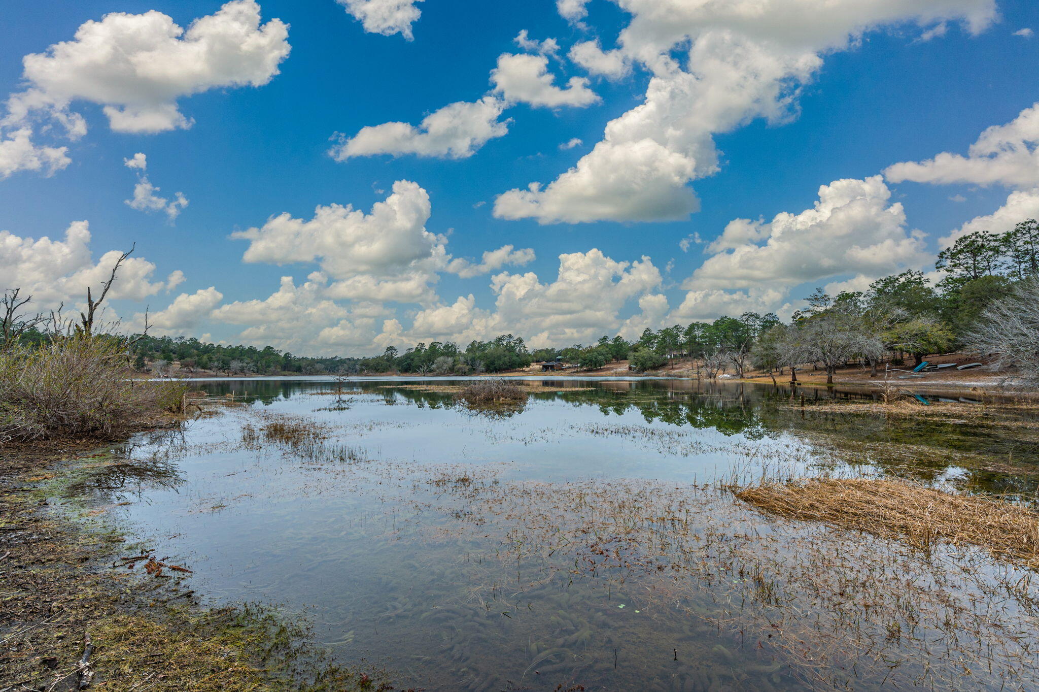 Are you looking for a tucked away waterfront weekend getaway? or a gorgeous homesite on the lake? This is it! Own 3.4 acres of one of the last, lakefront properties in The Ranches of Grassy Pond. A beautiful countryside setting located in Greenhead within 25 minutes to the beaches of Panama City. This property gently slopes down to the shoreline with 90' lake frontage. Sit back and enjoy the serenity of this property amidst the beautiful hardwoods longleaf pines, sand pines, cypress, and picturesque views of the lake. The sunrises here are sure to take your breath away. See for yourself. Call today to tour this property.**Please note: RV, Shed, and Shipping Container do not convey and will be removed prior to closing. Buyer to verify all information they deem import.