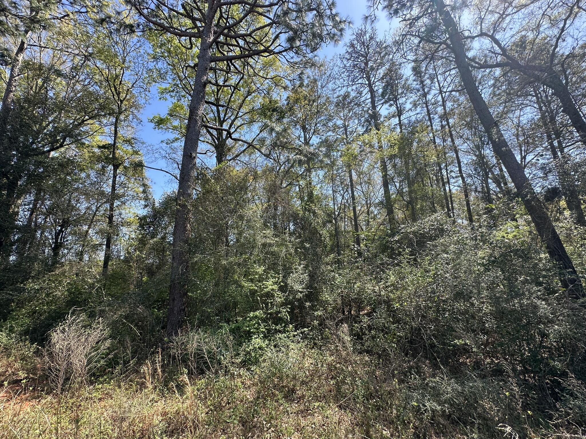 NO RECORDED SUBDIVISION - Land