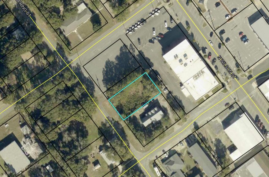Vacant 0.24-acre commercial lot located in the heart of Crestview, FL. Zoned commercial and situated near Main Street. This centrally located parcel offers convenient access to downtown, nearby government offices, and local businesses. An excellent opportunity for investors or business owners seeking a well-positioned lot in an established area of Crestview.