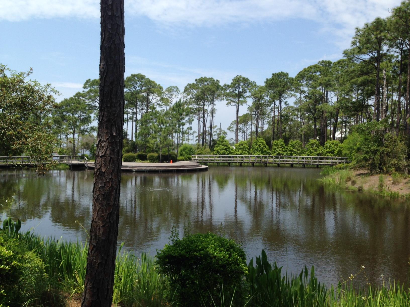 WATERCOLOR - Residential