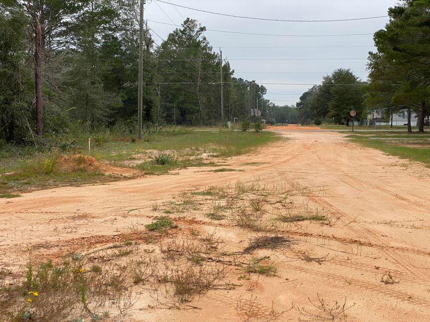Cleared lot with a septic tank and water meter! Ready for you and your future house/mobile home plans!