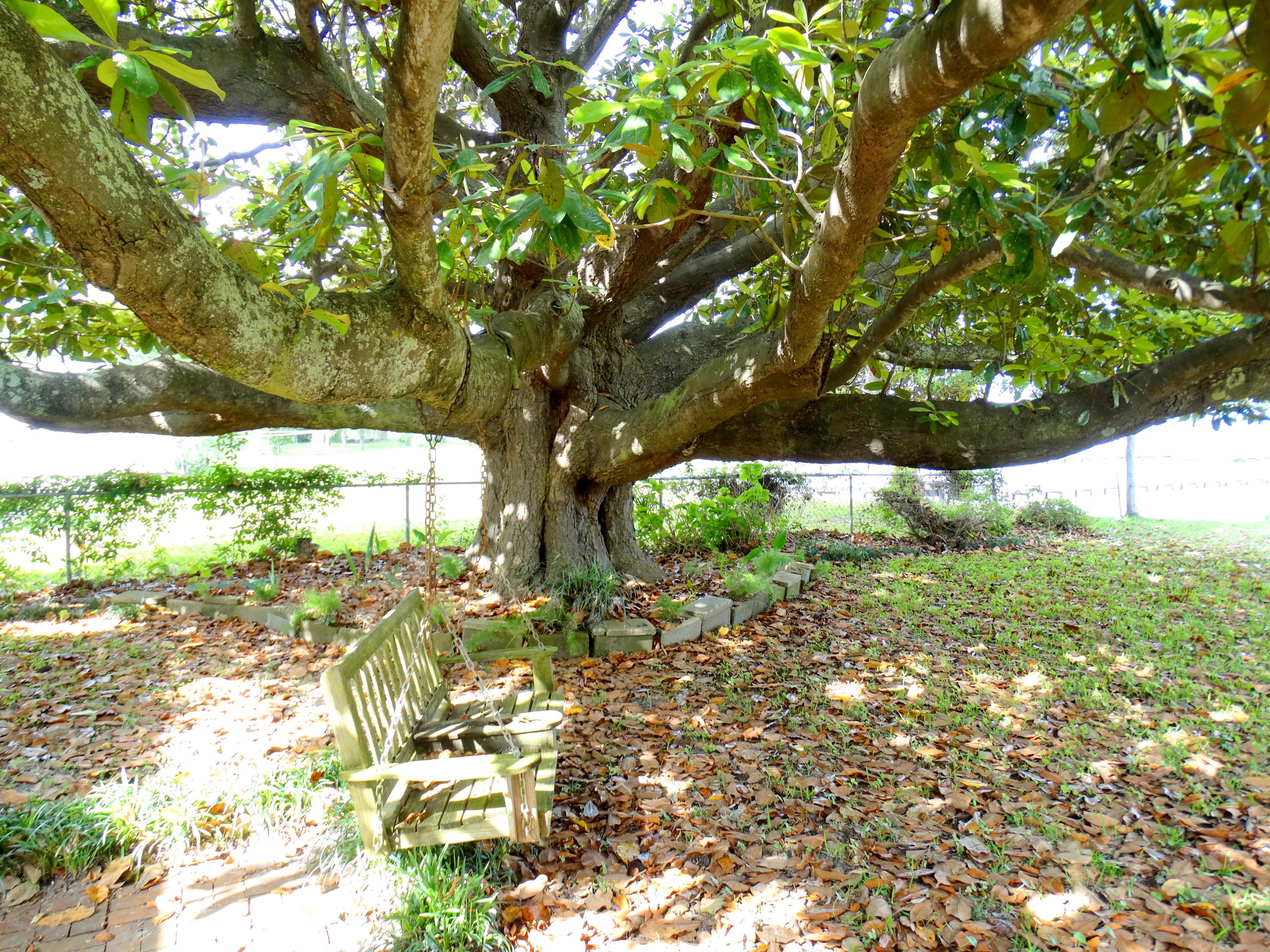 GARNIERS BEACH - Residential