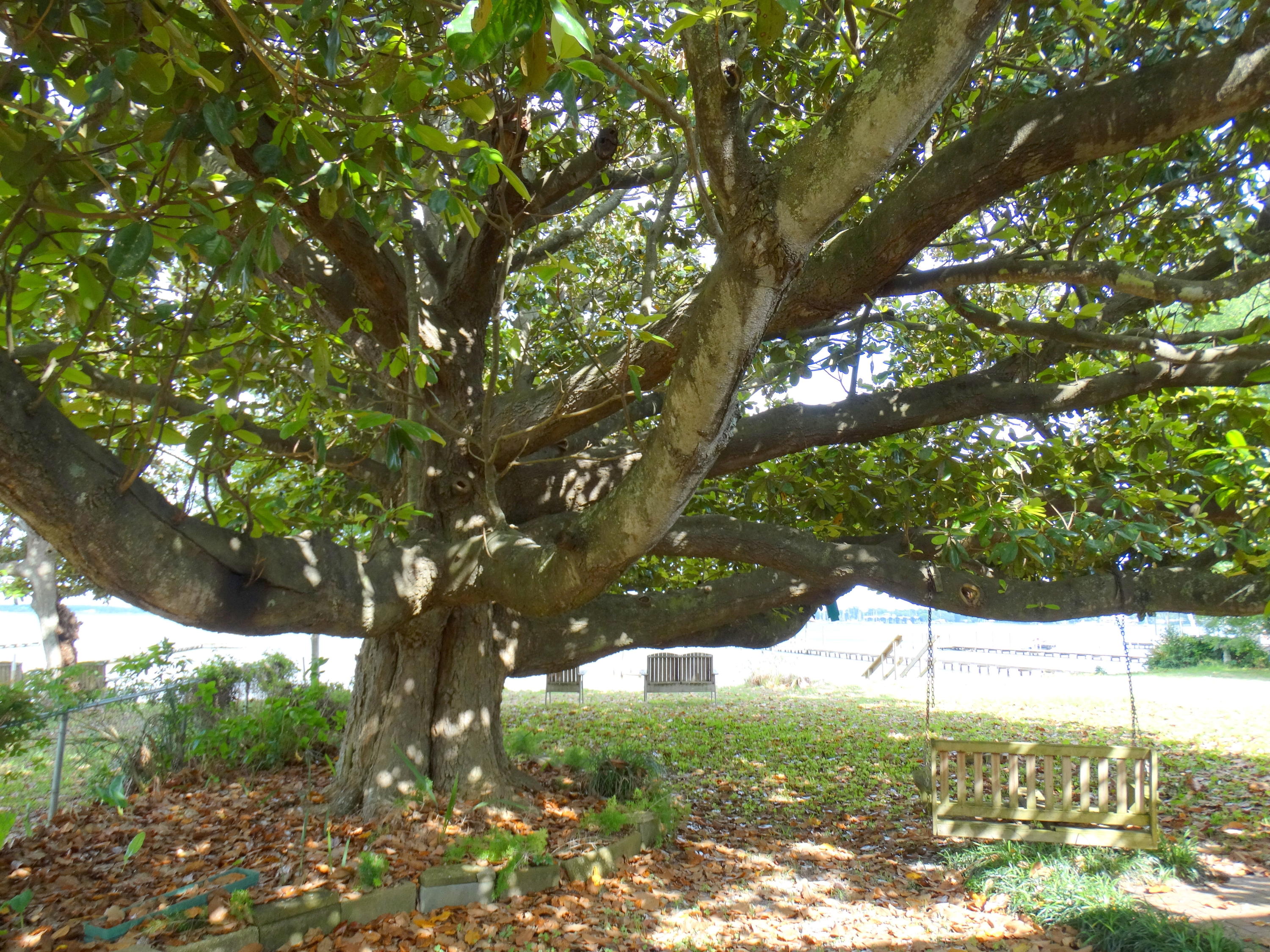 GARNIERS BEACH - Residential