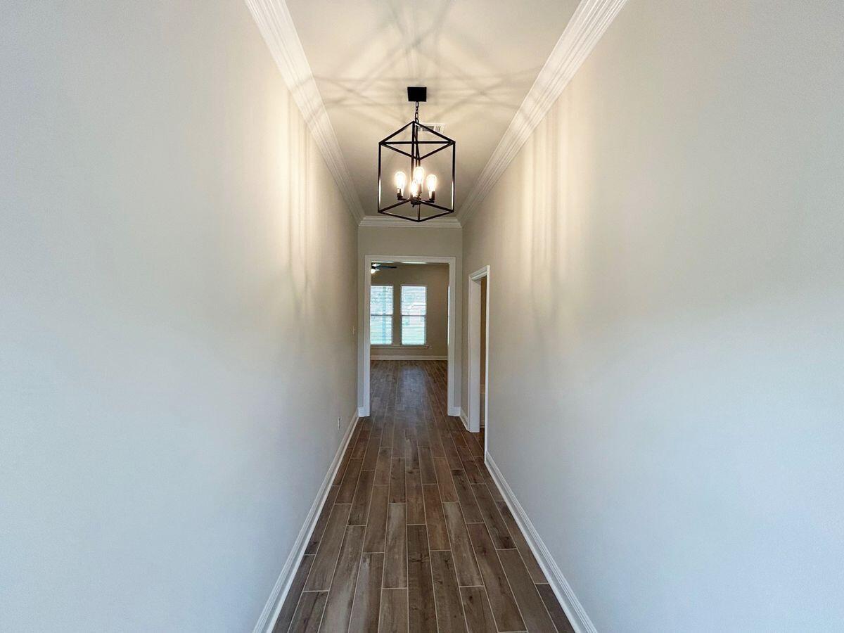 HAMMOCK BAY - STARBURST - Residential