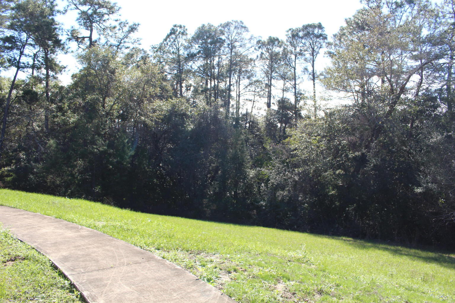 SWIFT CREEK PH 5 - Residential