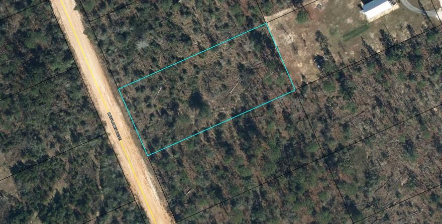 Large 1.148 acre lot in Compass Lake in the Hills. There is a voluntary HOA of $135 a year, but what a great price for all the amenities that are included such as: access to 2 lakes for fishing, tennis, horse stables / riding, rental cabins, RV spots, boat rentals, clubhouse, and a golf range. Being an all-sports lake, enjoy water skiing, tubing, jet skiing, boating, sailing, kayaking & swimming. No need to worry about lunch while out on the water when you have a boat accessible shoreline restaurant. This location is great for someone who enjoys nature and a short drive to the beach since it is located half way between Panama City And Dothan. The area is rich in historical significance, with many restored antebellum plantation homes open for tours or as bed-and-breakfast