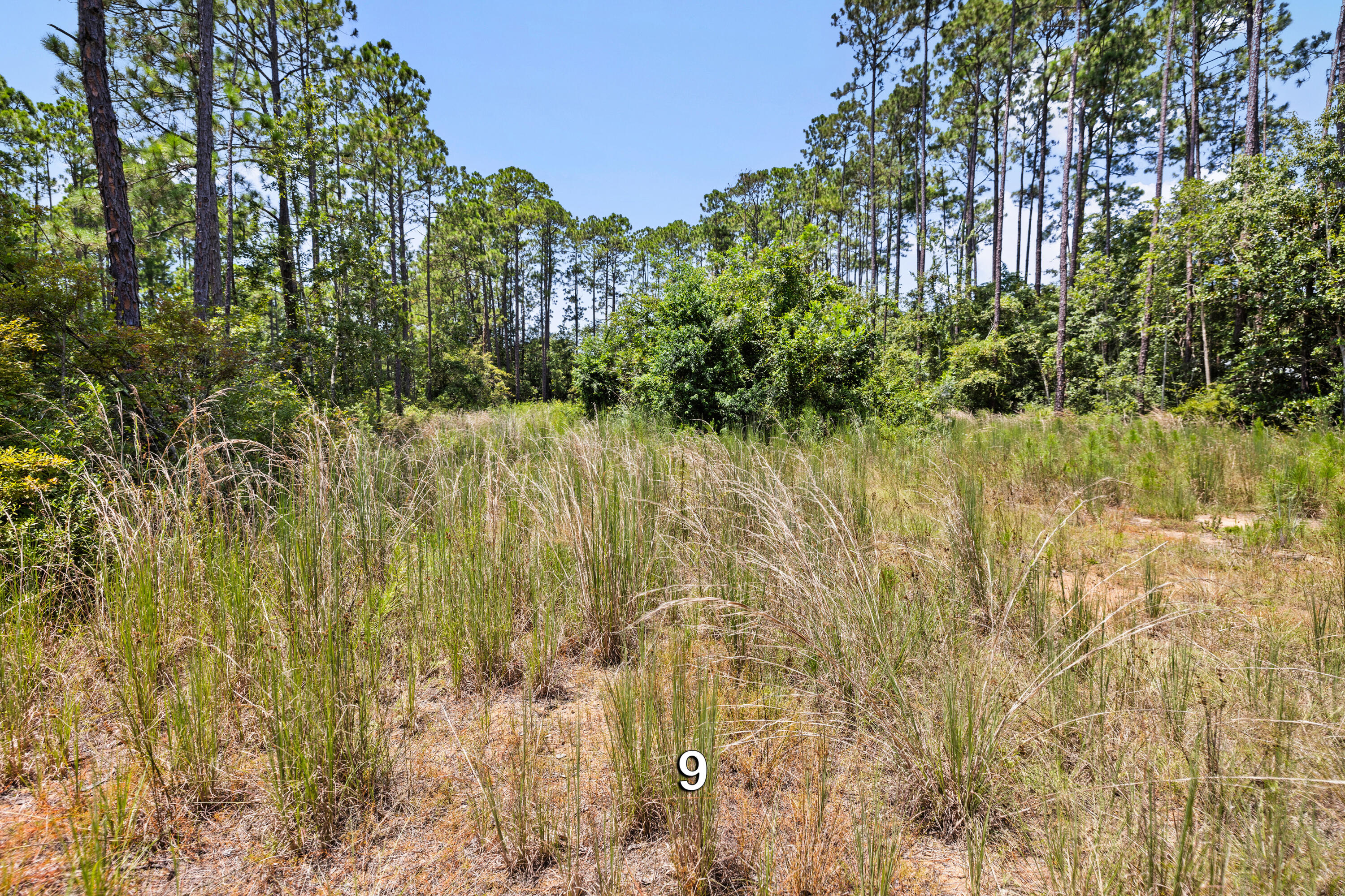MALLET PINES UNREC - Land