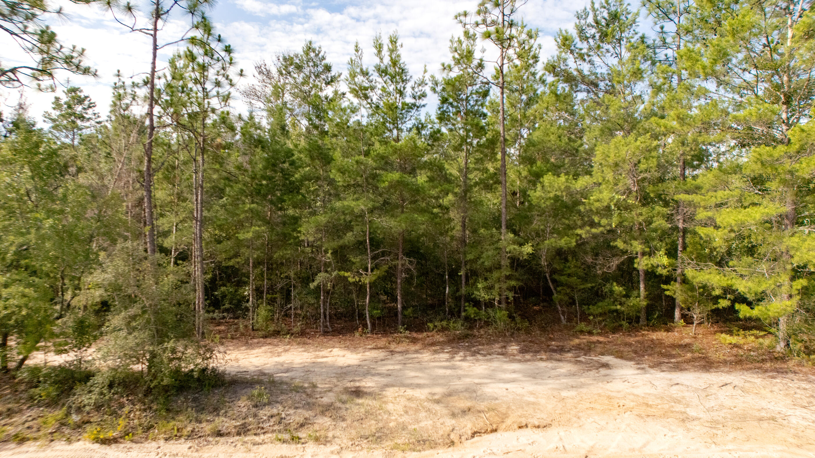 OAKWOOD HILLS UNIT 2 - Land