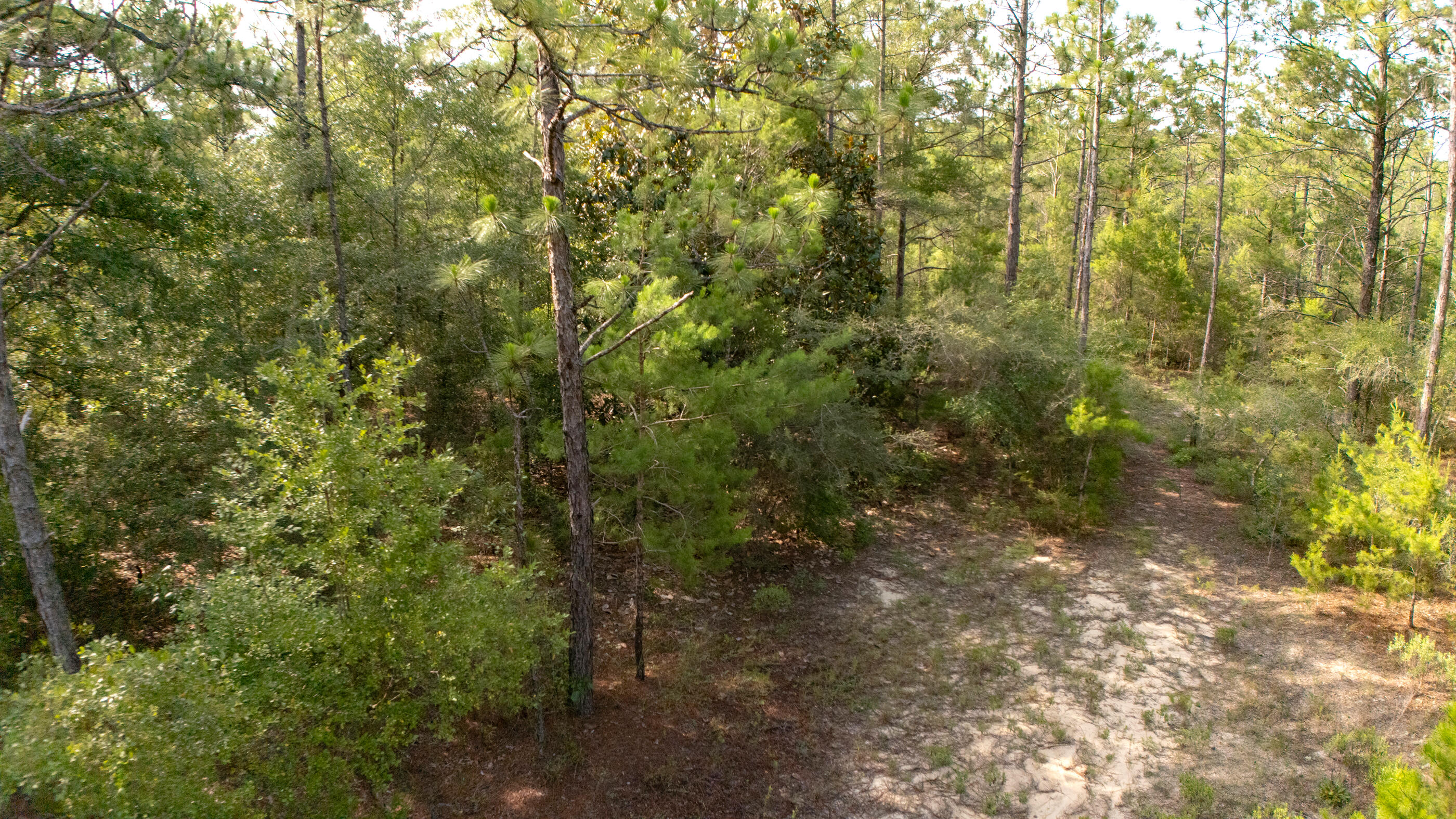 OAKWOOD HILLS UNIT 2 - Land