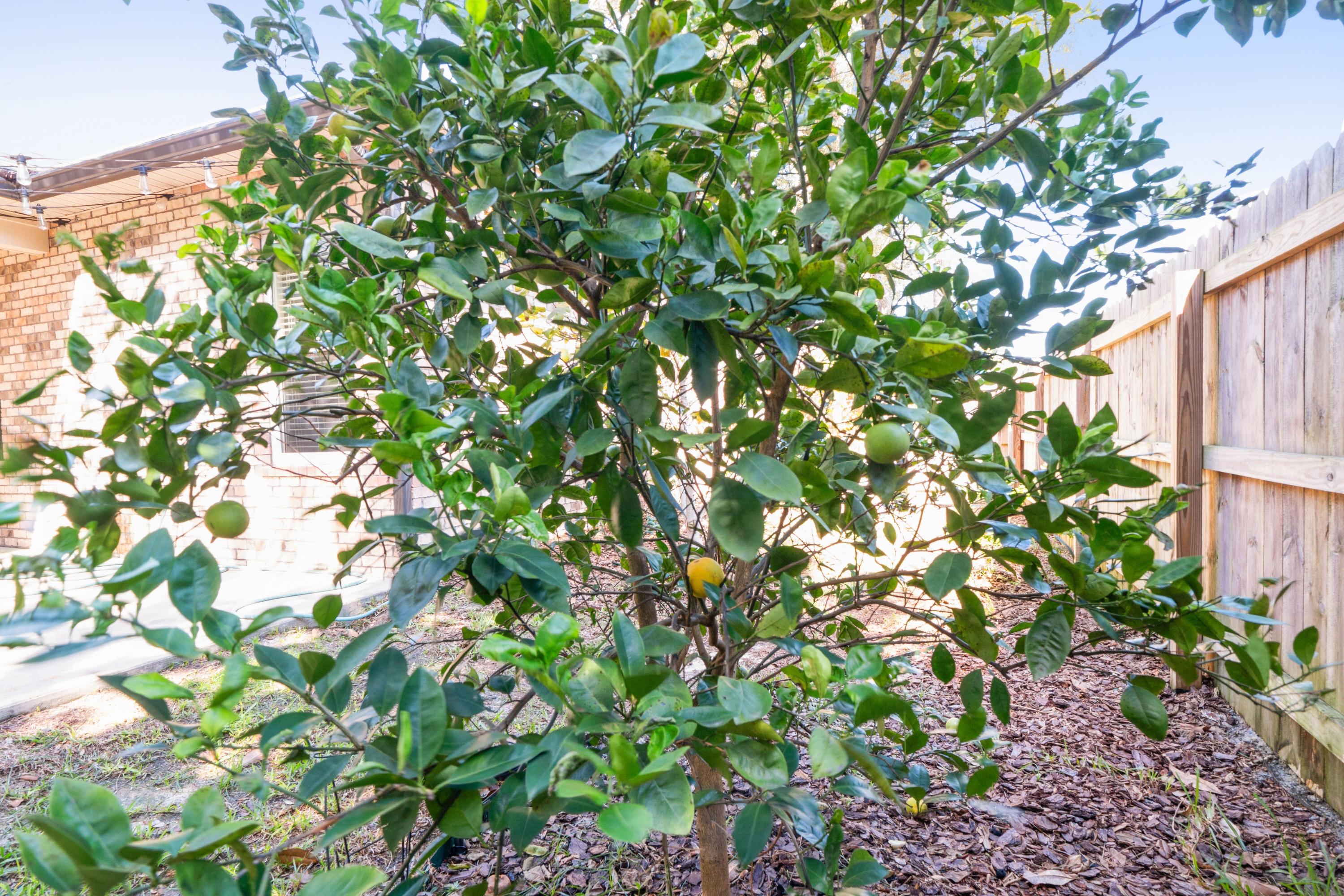 Ray Subdivison - Residential Lease