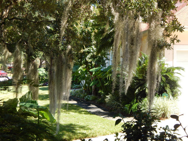 TIMBERLINE ESTATES - Residential