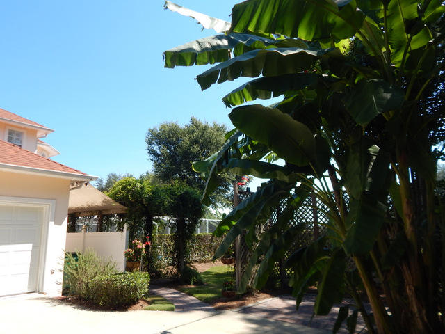 TIMBERLINE ESTATES - Residential