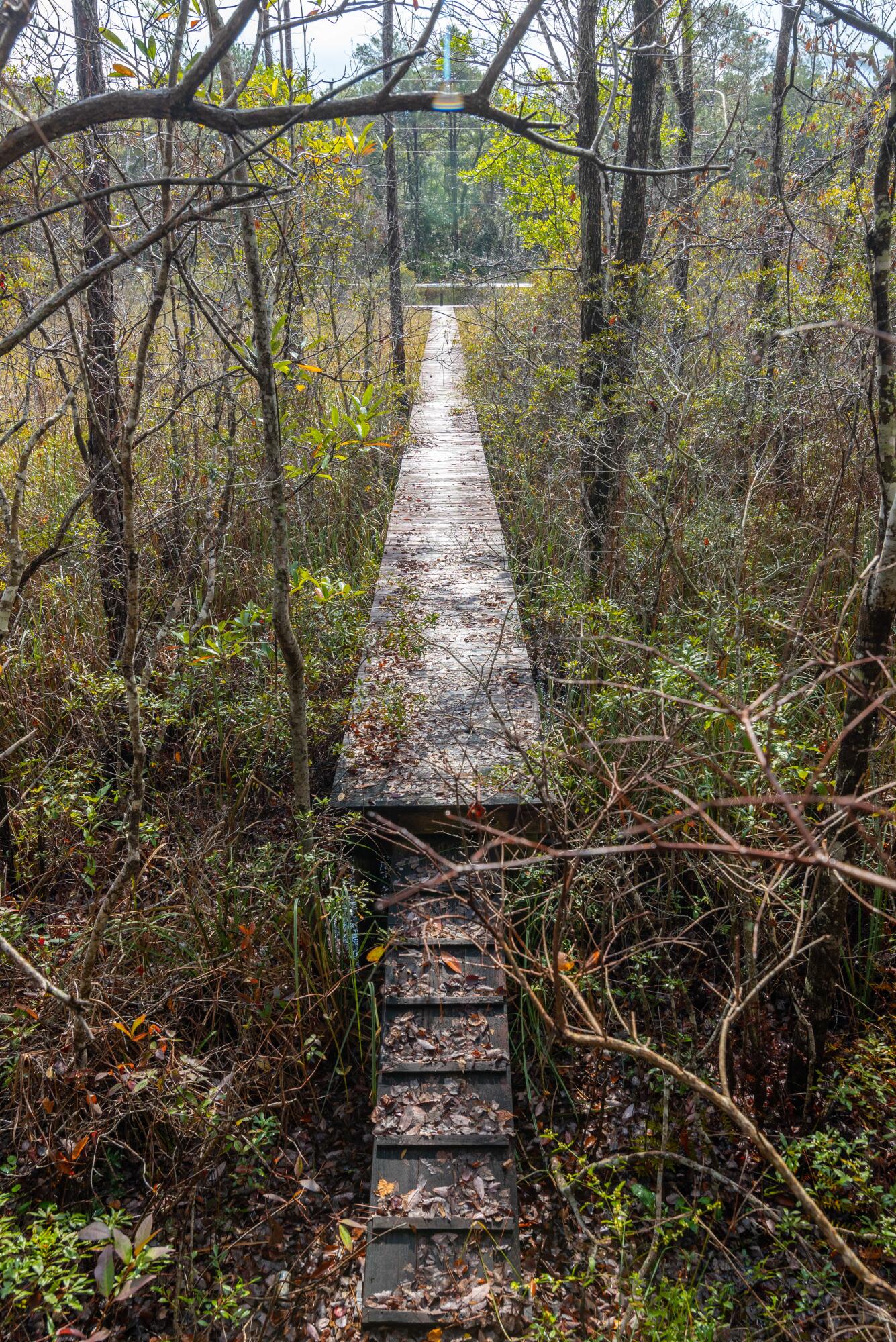 LOT 12 BLK 37 MAGNOLIA BEACH S/D - Residential