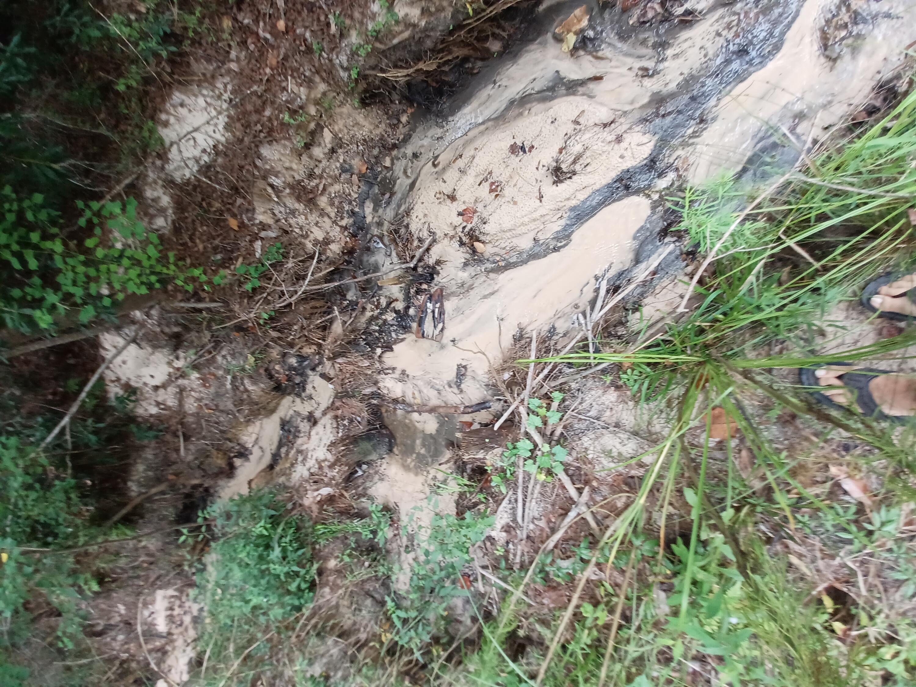 SILVER OAKS PH 1 - Land