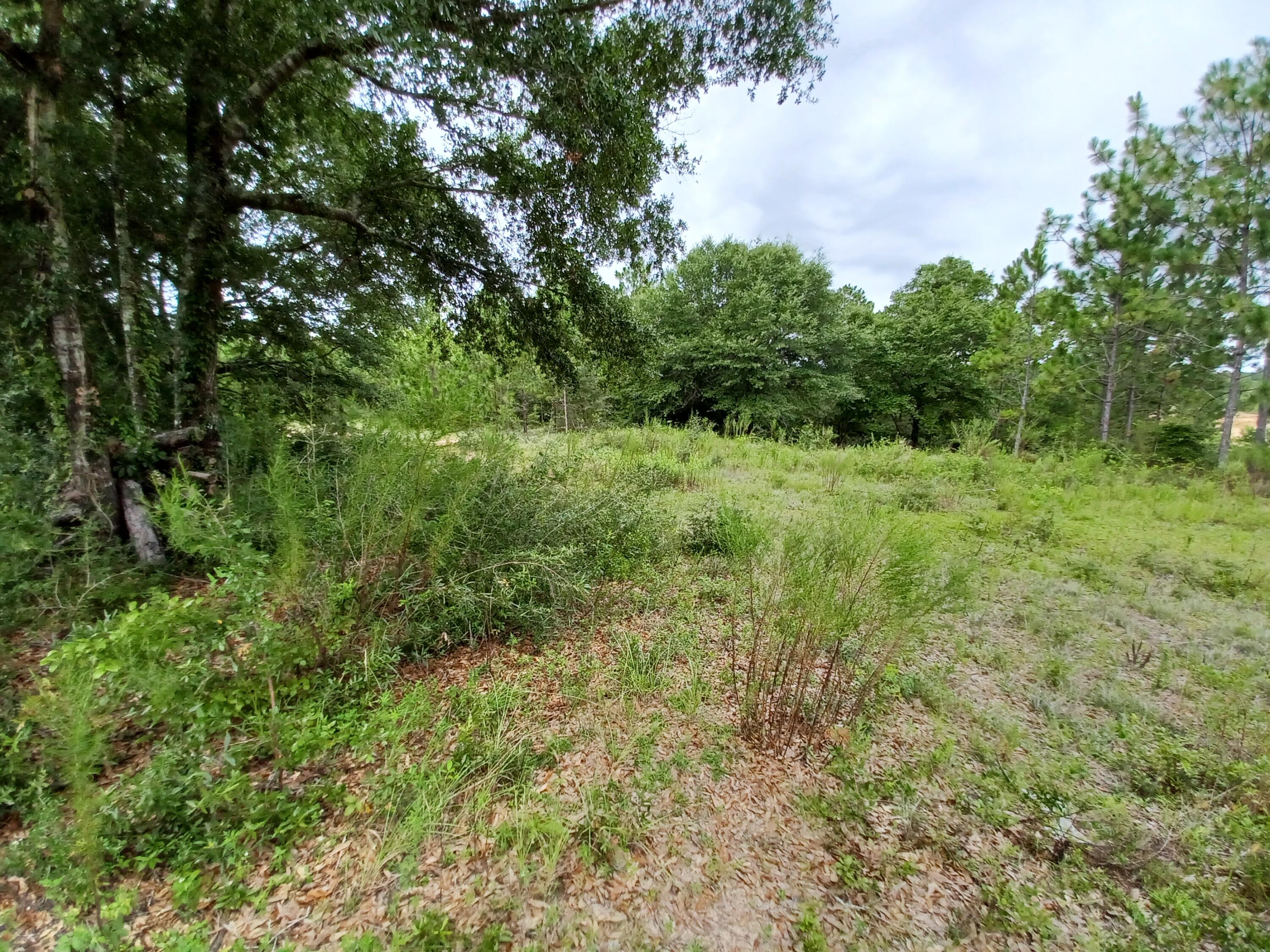 SILVER OAKS PH 1 - Land