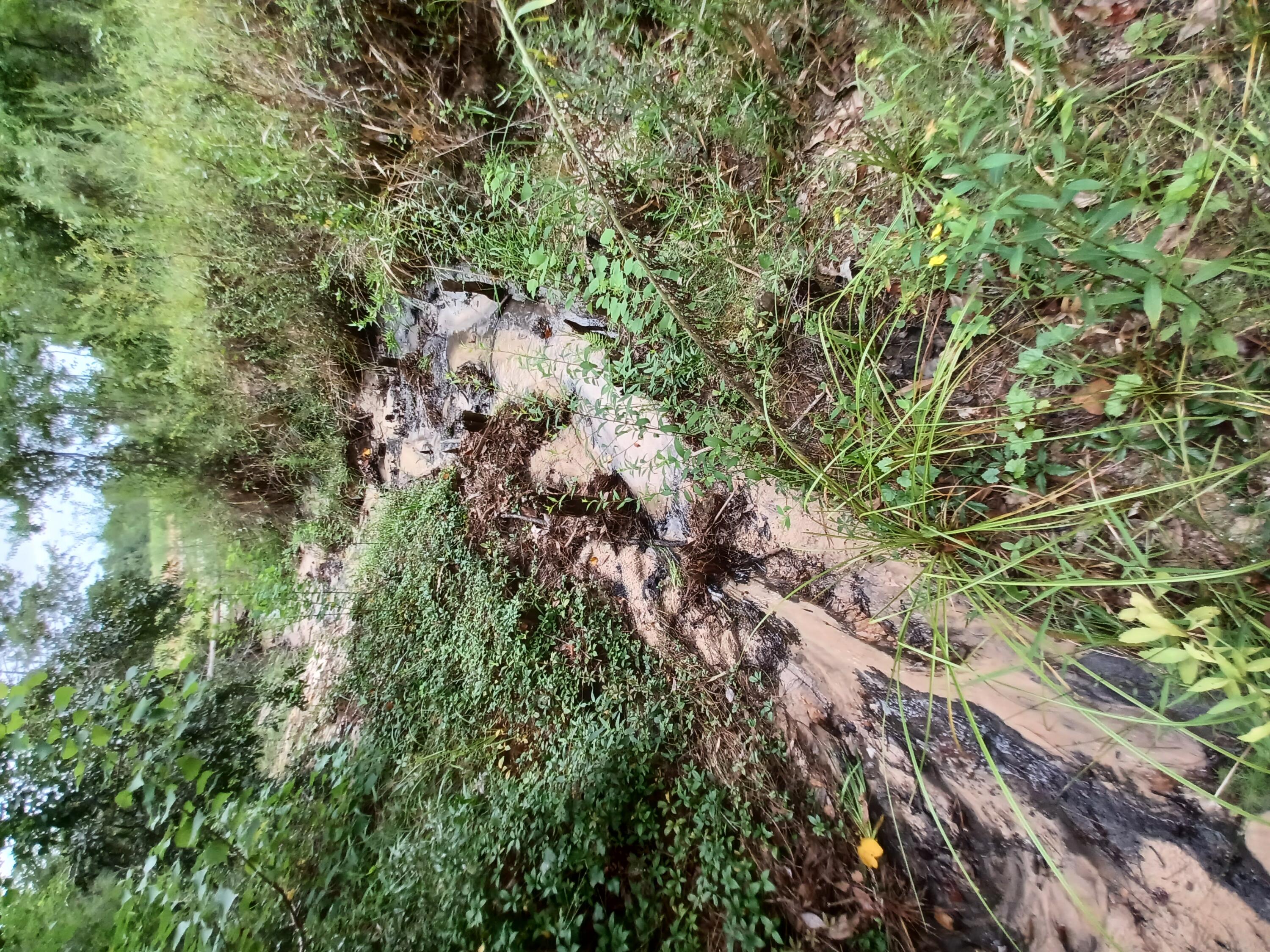 SILVER OAKS PH 1 - Land