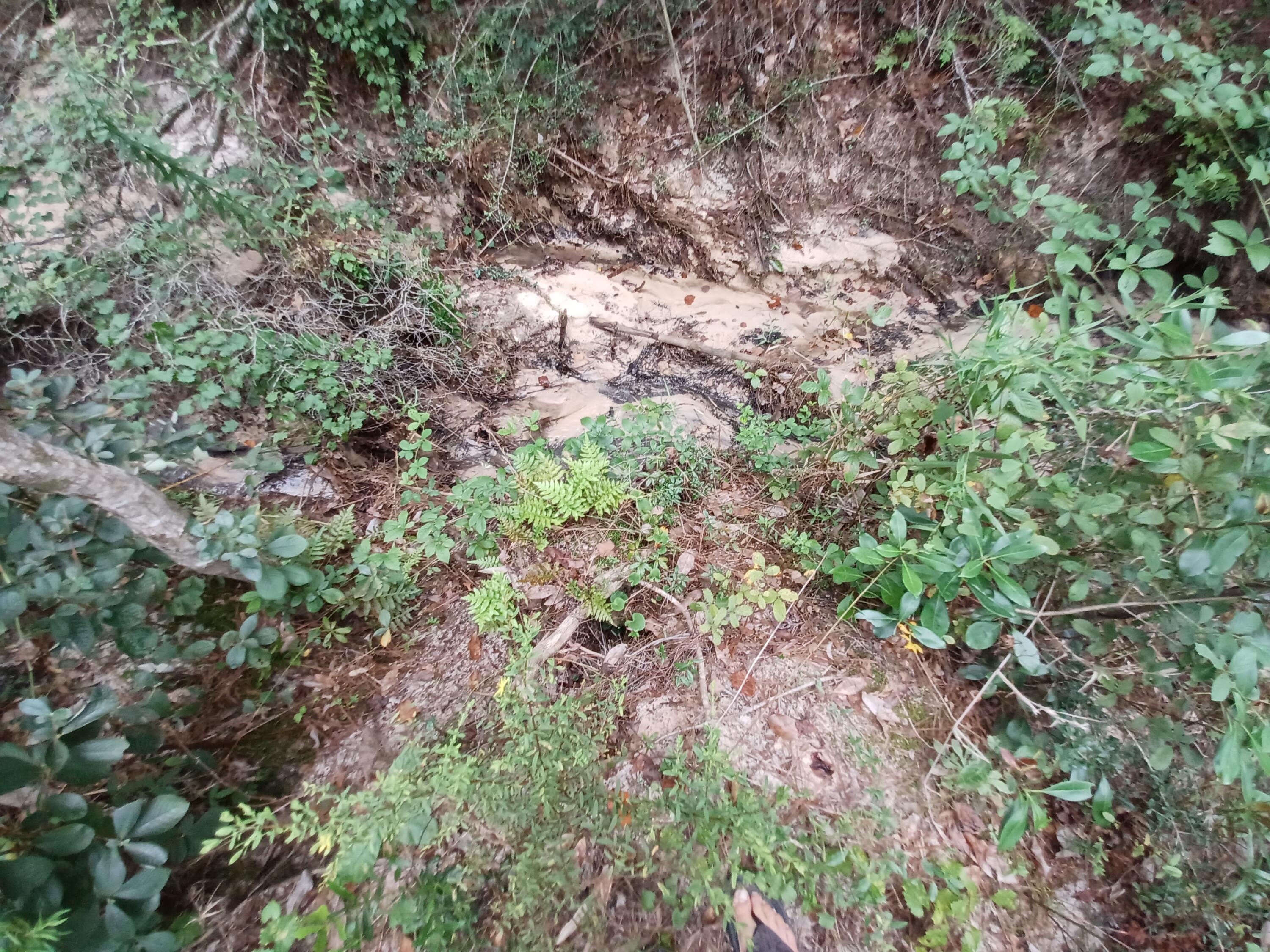 SILVER OAKS PH 1 - Land