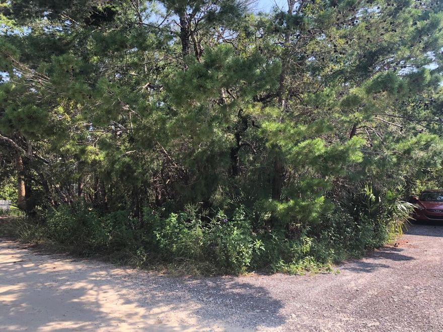 Beautifully wooded lot south of 30A with close proximity to the beach. No HOA. No build-out times. Ready when you are ready. Drive by anytime to look.   ***Buyer is responsible for personally verifying details about this property.  Any information contained in this listing is believed to be accurate but is not guaranteed.***