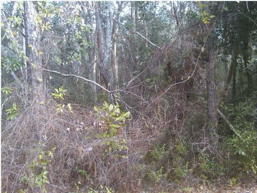 100 X 150' LOT IN MAGNOLIA BEACH WITH WATER AND SEWER AVAILABLE. CLOSE TO BAY ELEMENTARY AND NEW MIDDLE SCHOOL. COMMUNITY BAY ACCESS JUST DOWN THE STREET. PROPERTY SOLD ''AS IS''. LOTS 31 AND 32 ARE ON ONE DEED.