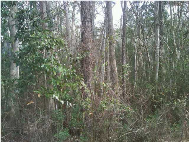 MAGNOLIA BEACH - Land