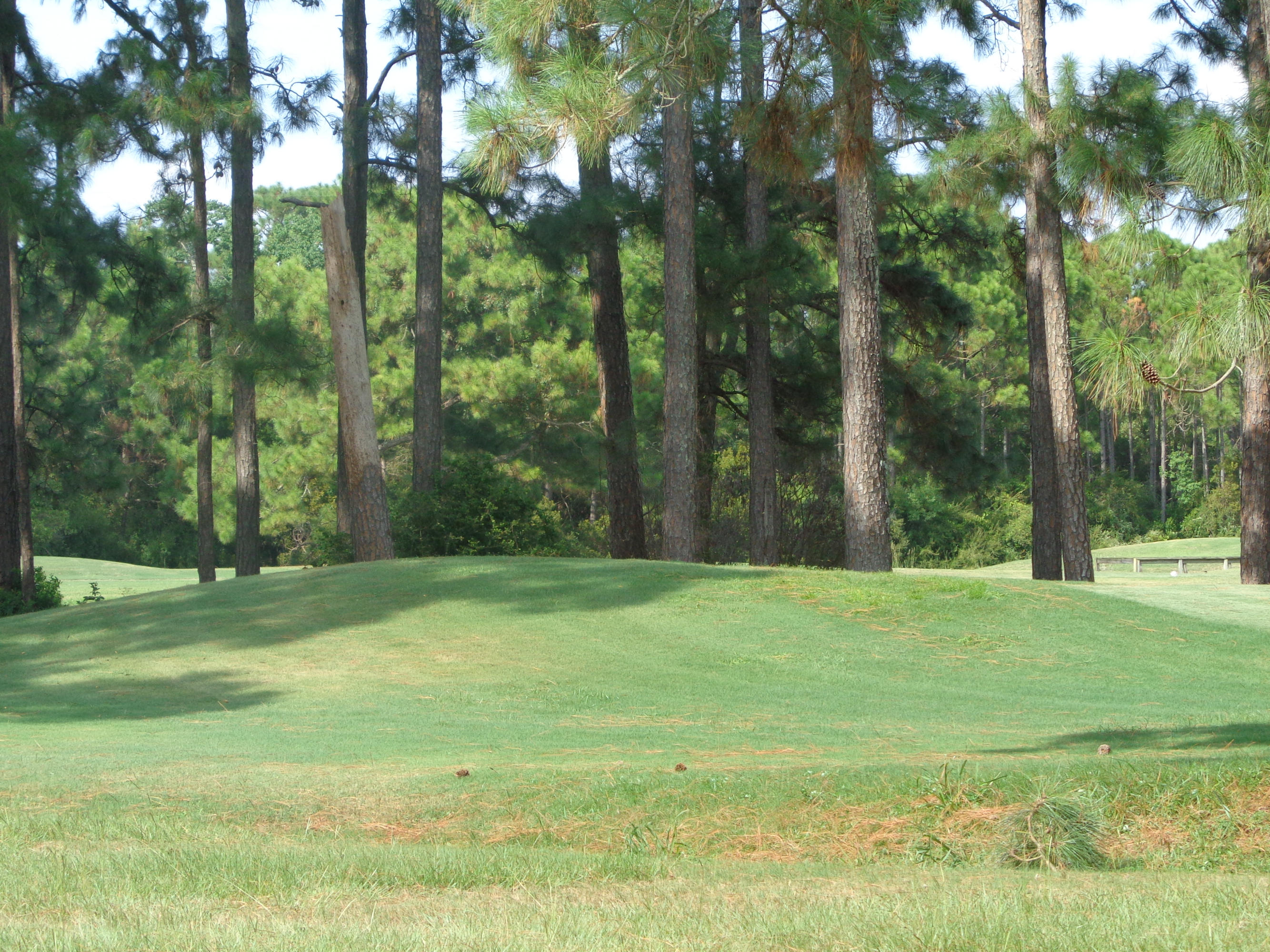 SEASCAPE CONDO GARDEN VILLA - Residential