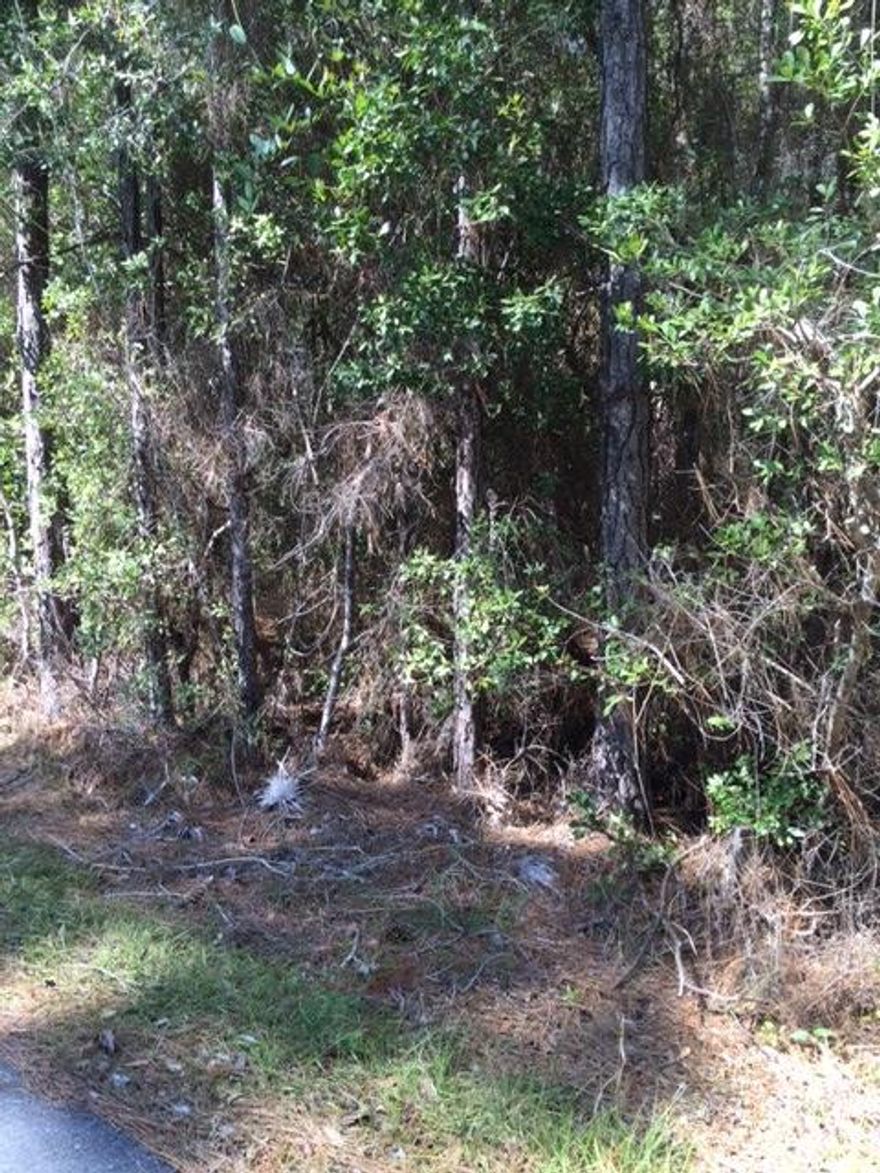 Great home site close to the beaches of South Walton and the 30A area. Lot 17 is approximately 50x150 ft and is located on a paved road a short distance from Choctawhatchee Bay. Nice up & coming neighborhood.