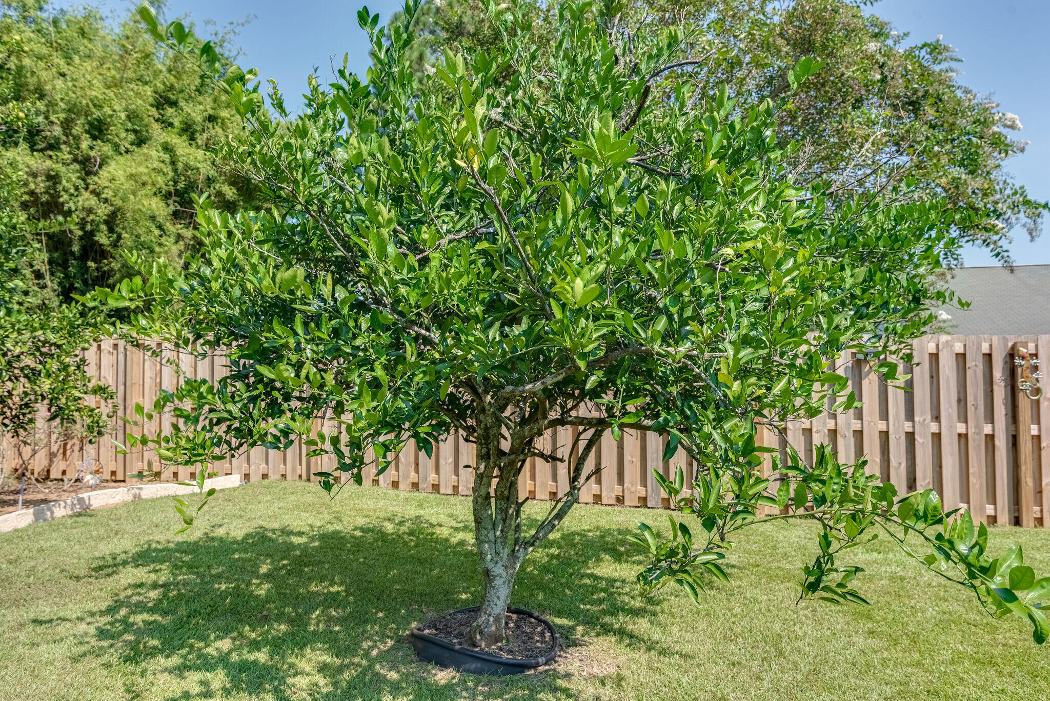 Kingsfield Courtyard - Residential