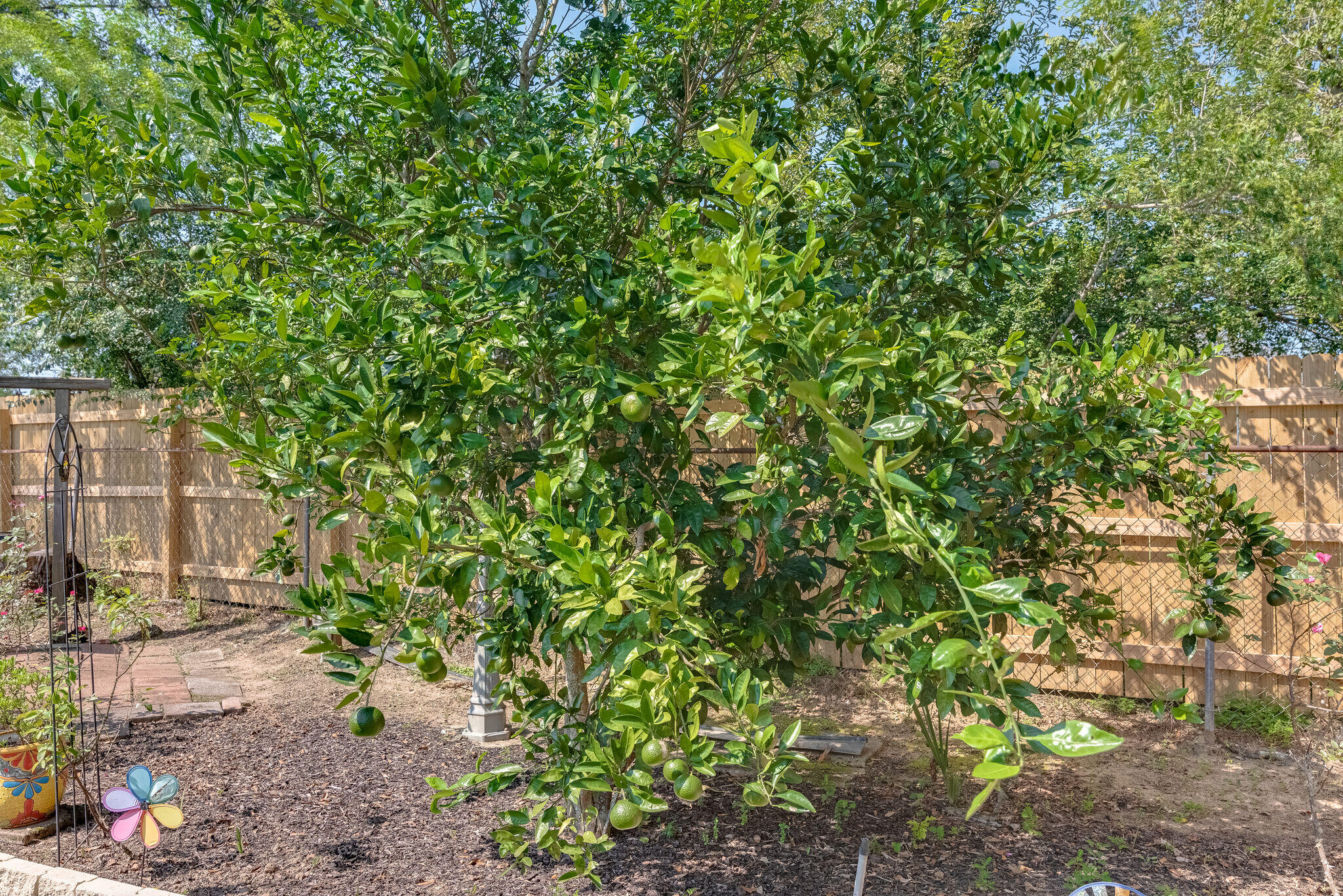 Kingsfield Courtyard - Residential