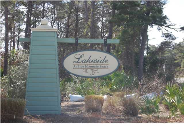 This is a Pre-Sale home to be completed in August. Listing Broker/Licensee related to owner.