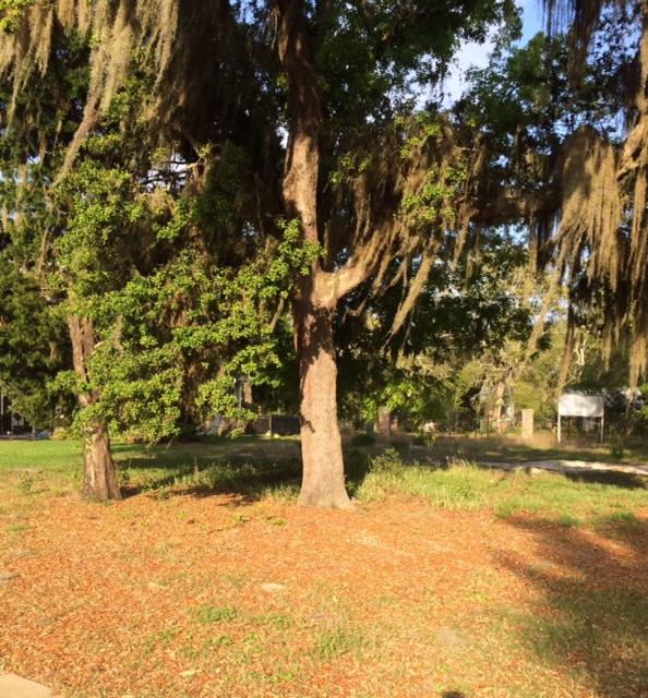 The Parish - Residential