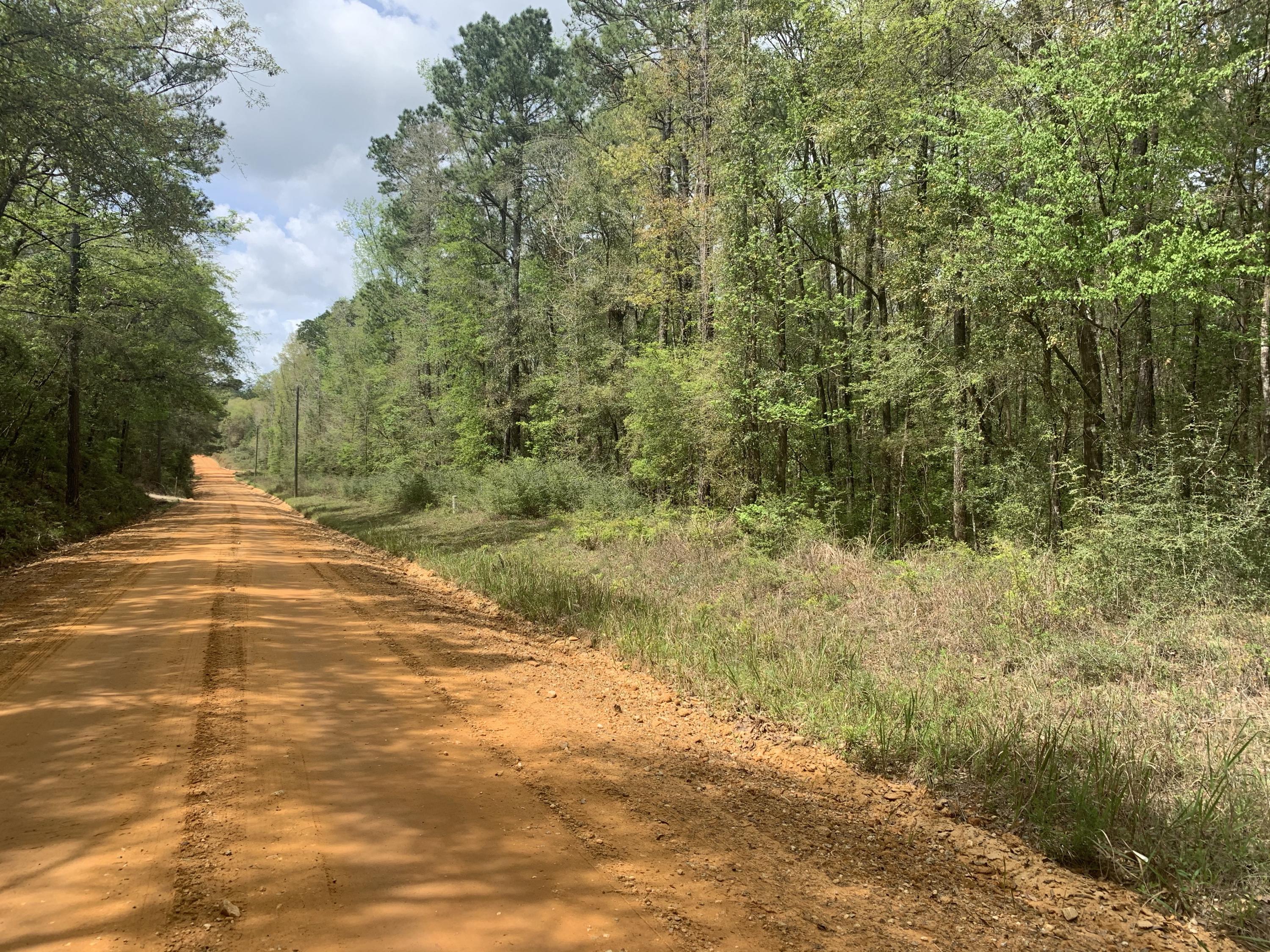 Beautiful 13.59 acres located close to Ponce de Leon. Property has a stream that goes through the property on the north side. Tons of potential!
