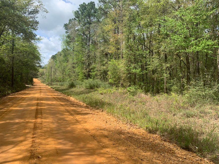 Beautiful 13.59 acres located close to Ponce de Leon. Property has a stream that goes through the property on the north side. Tons of potential!