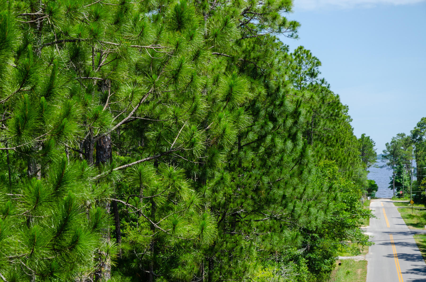 MAGNOLIA BEACH - Land