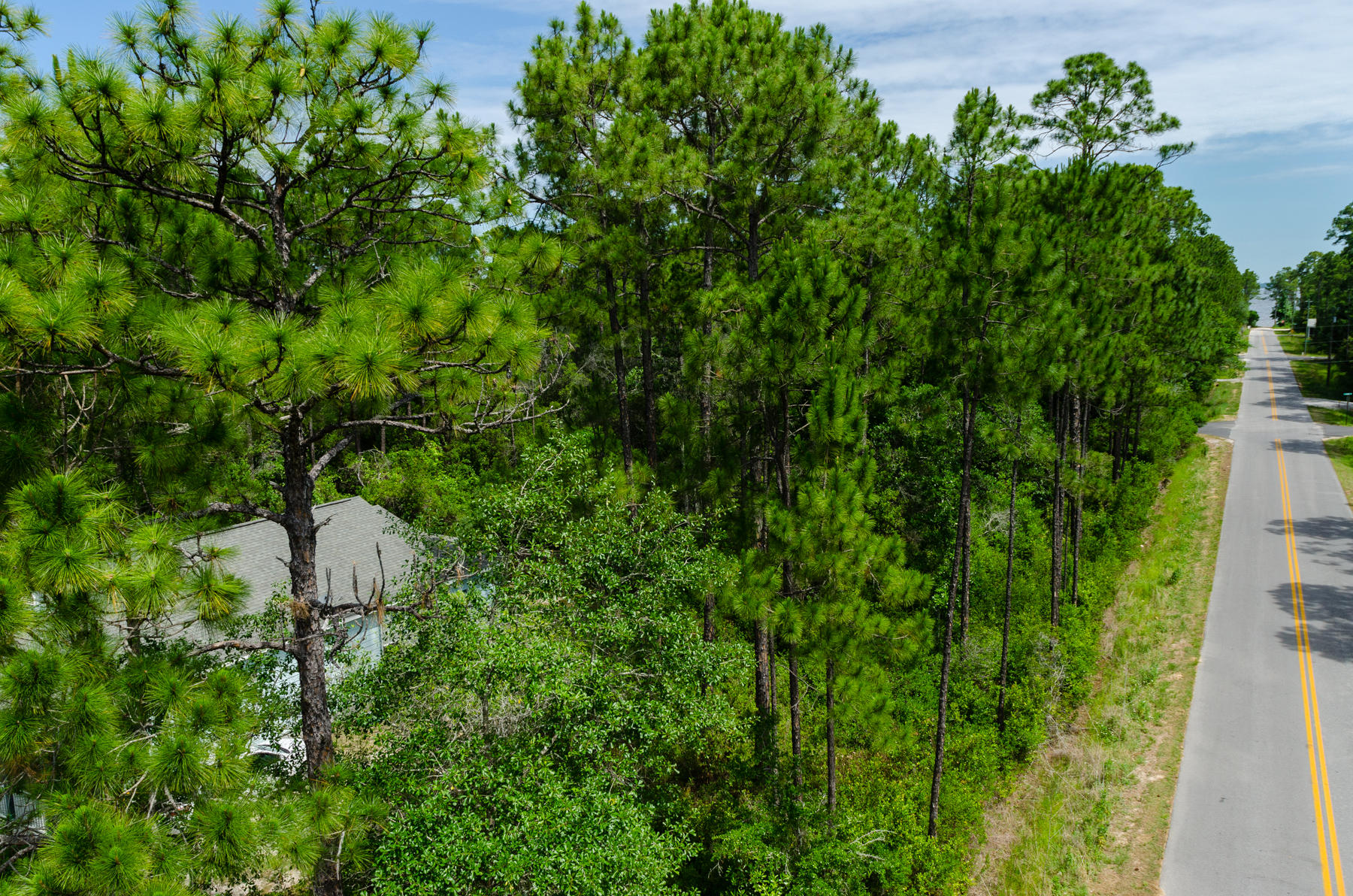 MAGNOLIA BEACH - Land