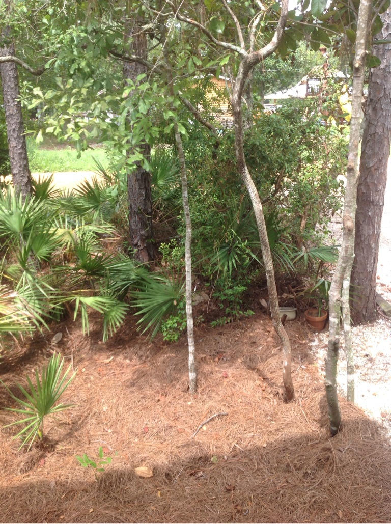 OLD TOWN OF SANTA ROSA BEACH - Residential Lease