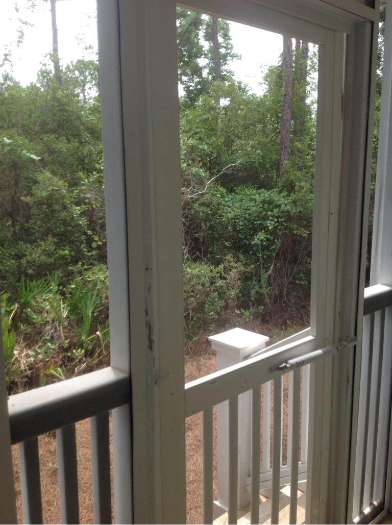 OLD TOWN OF SANTA ROSA BEACH - Residential Lease